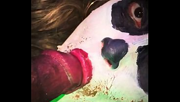 Demon girl sucks cock while staring into the camera