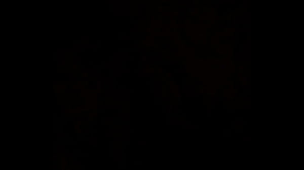 White girl sucking dick