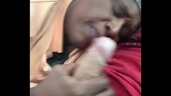 Black bitch sucking white dick 