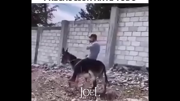 V&iacute_deo de verificaci&oacute_n