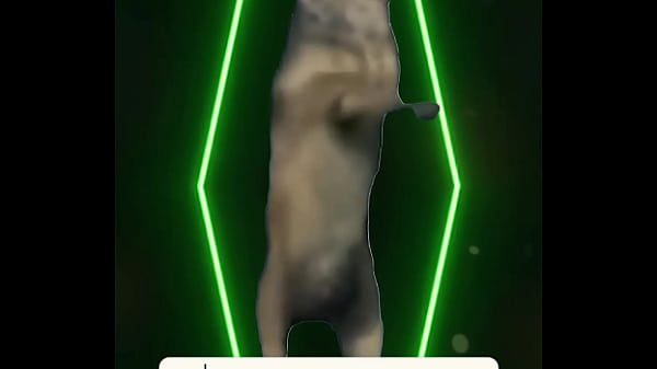 She turned midnight into a moment her glow isn&rsquo;t from a spell &mdash; it&rsquo;s from self belief 