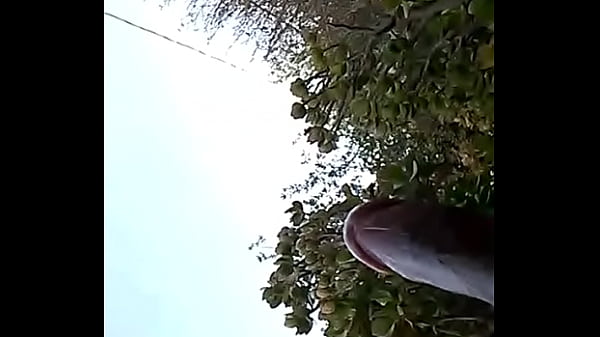 WP 20140701 14 40 20 Pro 