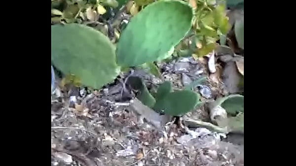 Nonton Wp 20140701 14 40 20 Pro thumbnail