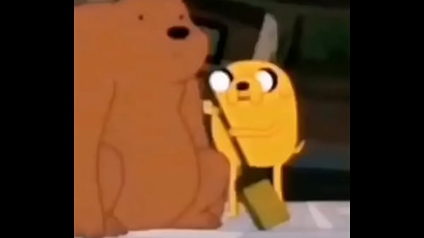 Oso de