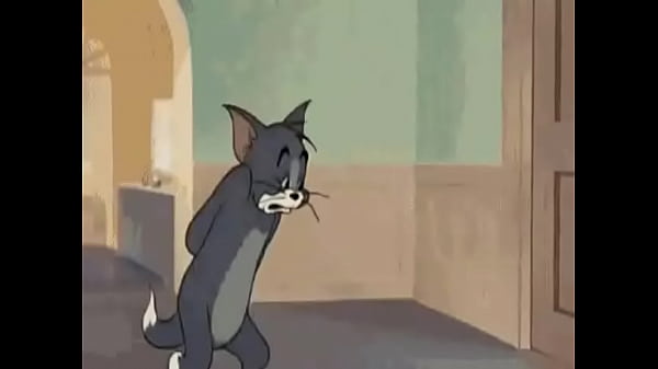 V&iacute;deo de verifica&ccedil;&atilde;o 