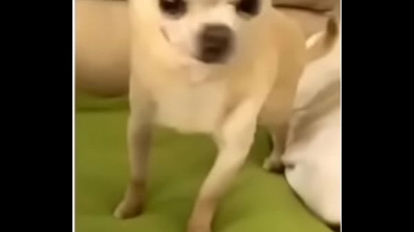 Cute Petite with Cosplay, Angry when Filmed