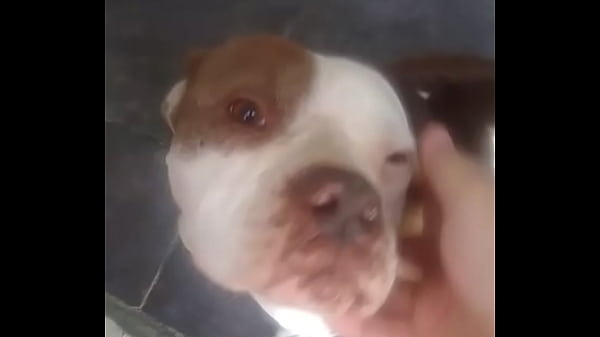 Nonton Aaaa thumbnail