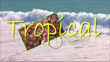 Promotion tropical sexual fever 