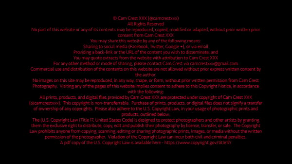 Nonton Forbidden Delight: The Stepbrother's Taboo Obsession (free) thumbnail