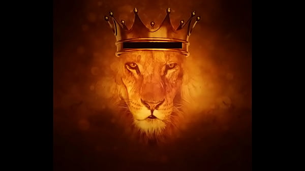 Lion Might Battle Lion