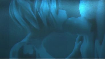 underwater-furry-blowjob