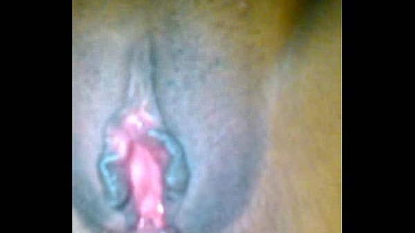 por la cola a mi se&ntilde;ora 