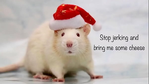 Holliday greeting from Roger 