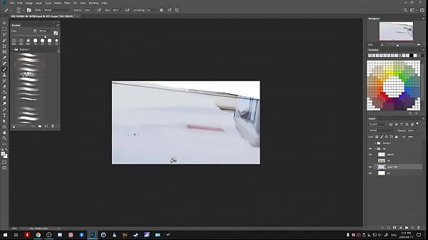 STS broadcast by DC on Picarto from April 2020 