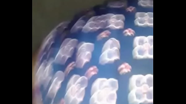 Hitting phat ass from_the back