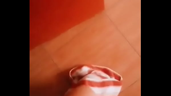CACHERA SJL 