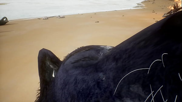 Play MP4 - Pov two gay wolves fucking - Wildlife