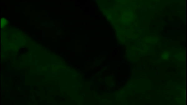 Nonton Dick thumbnail