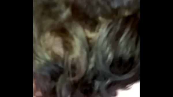 2025 05 03 chienne marie pompe maitre herv&eacute; 