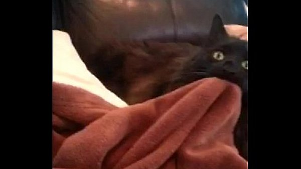 trim.99912596-9848-4CBB-9983-DC6634A43A97.MOV 