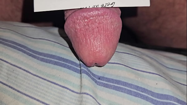 Cock thumbnail