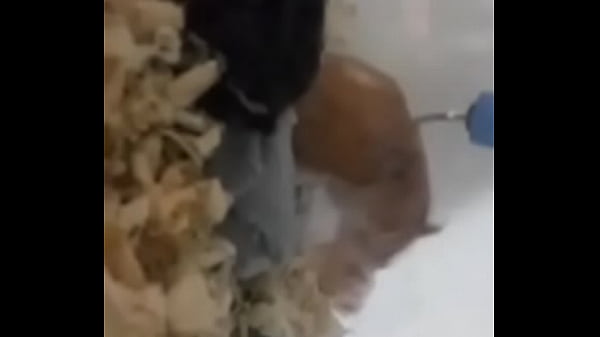 me cogo a mi prima cachonda