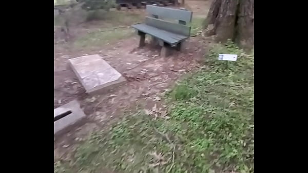 ImpregnableLexa takes WolfDaddy901's dick bareback and creampie in public park 