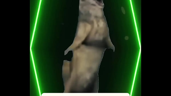 She turned like she knew like she felt it and suddenly&hellip; you weren&rsquo;t sure who was out of place anymore 