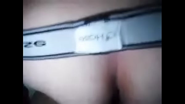 gatoquerleitequente 663150303