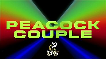 Nonton Patty's Panties 2 thumbnail