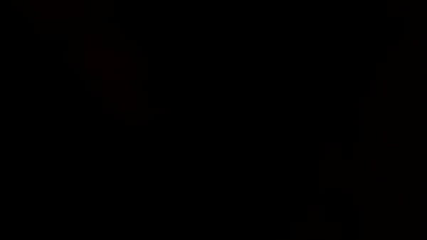 Perritala quiere toda_bien dura