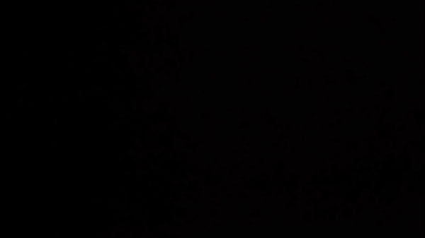 Ant&meich69 ants pussy domination 