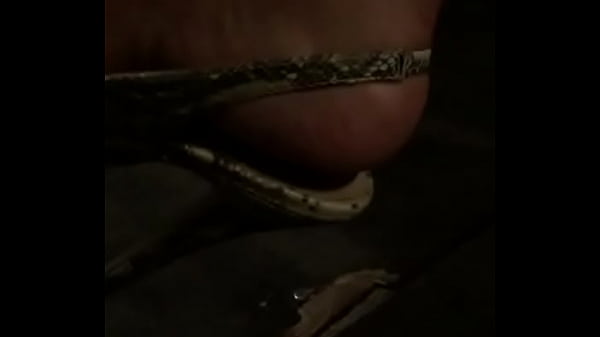 trim.5A465D54-26BE-4517-9569-58ADF2A432E1.MOV