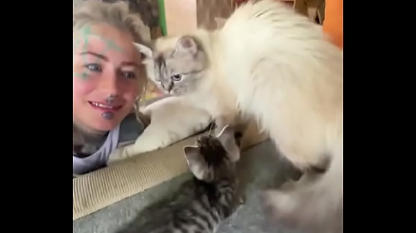 Cat heaven #facetattoo #inkedface #eyeballtattoo #cat #kitten 