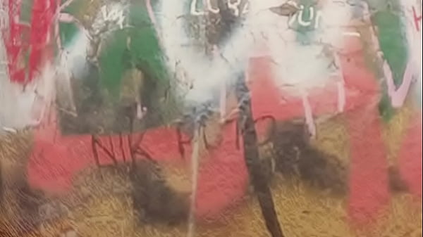 Nonton Estatua De Gaturro thumbnail