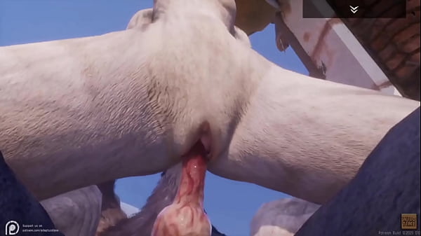 Play MP4 - Lobo alfa comendo a Loba gostosa em Wild Life