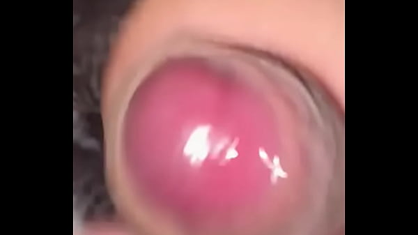 Pekesho1620 - update #10 - B161a47f-21c8-4c25-b994-6c5d46c0ef95 - Feb 21, 2025 