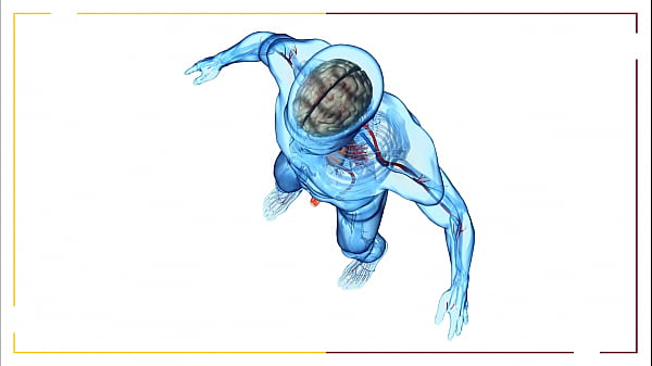 Nonton Stimubate Your Senses thumbnail