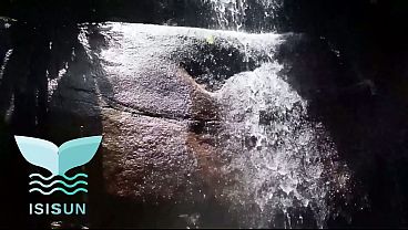 Sexy foreigner asks me to take pictures of her in the river I end up giving her a great blowjob and having sex in the river