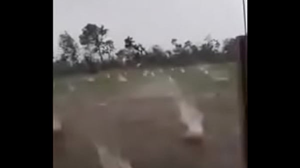 Verification video
