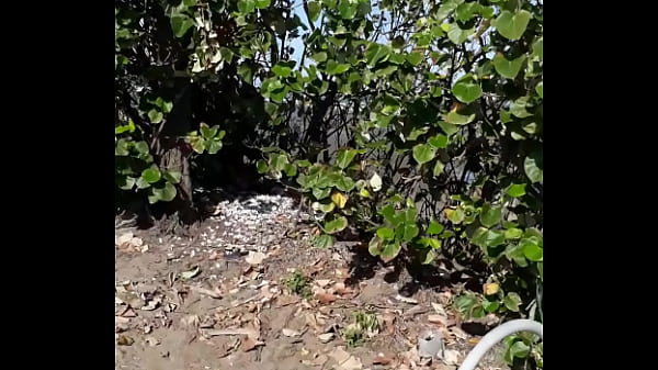 苗栗縣崎頂休憩園區 