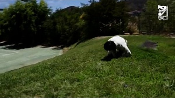 Mexican exterminator fucks MILF with huge tits Eva Karera!!! 