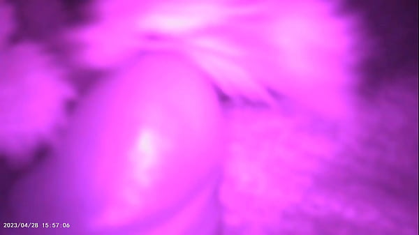 Play MP4 - Outside getting a nettle and insert into my slave cock