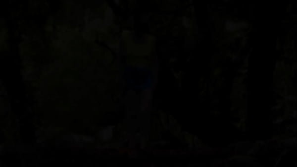 Nonton In The Ruins Of The Abandoned House In The Jungle I Walk Down, And Up, The Remaining Stairs And Give A Brief Flash At ... thumbnail