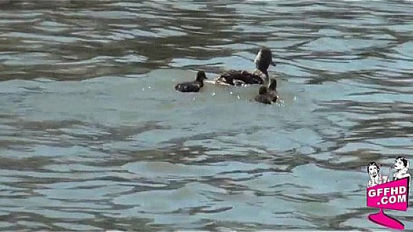 Nonton Girls Who Eat Pussy 0321 thumbnail