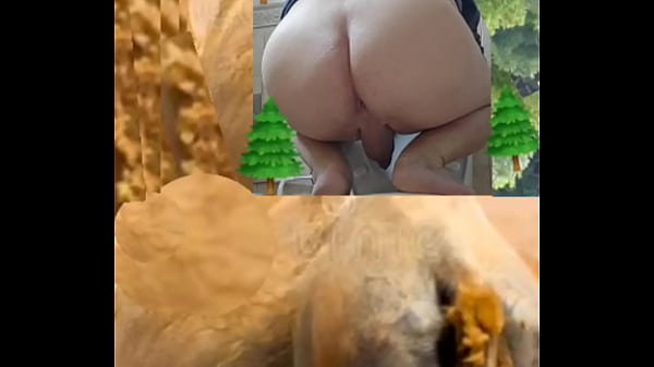 Zea812 - update #54 - 1000047284 - Apr 26, 2025 