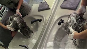 Asli Forward Hairwash 