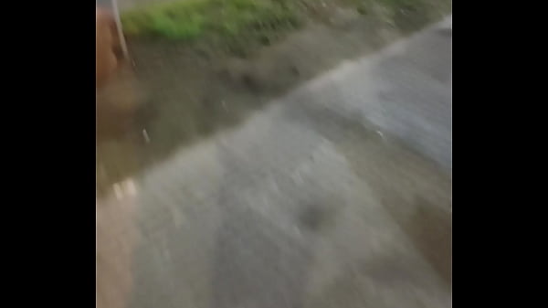 Una mascota me acompa&ntilde_a