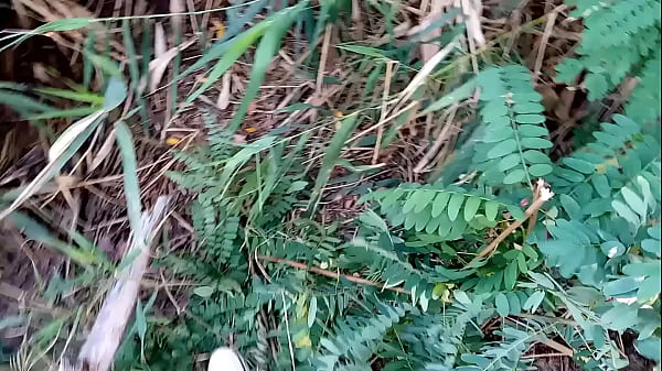 Caught a mermaid by the pond and fuck