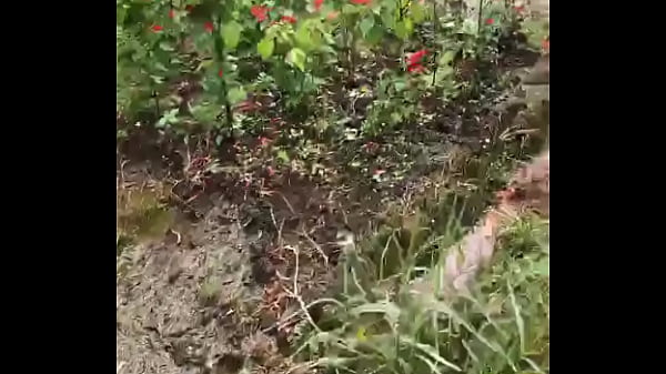 Video x&aacute_c minh